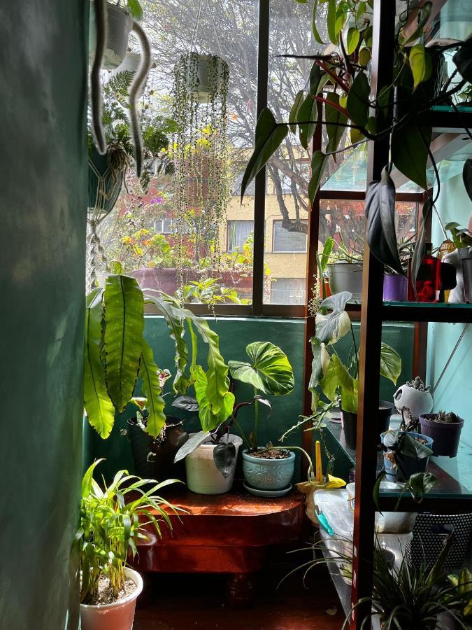 Casa Feliz Homestay Bogota