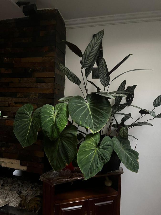 Casa Feliz Homestay Bogota